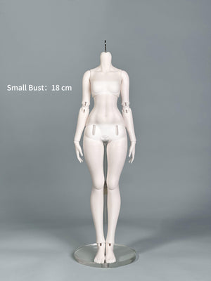MDollSchool 1/4 BJD Doll Body G03 in white resin with small bust measurement of 18 cm