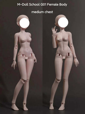 MDollSchool G01 female BJD doll body in 1/4 scale with medium chest, two views.