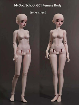 MDollSchool G01 female BJD doll body with large chest in two views