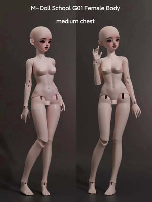 Two views of MDollSchool G01 Female Body BJD doll with medium chest.