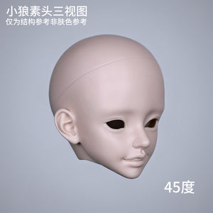 45-degree view of MDollSchool Puppy and Little Wolf MSD 1/4 scale BJD resin doll head blank