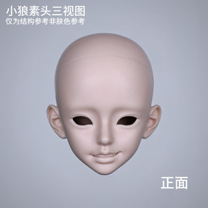 Front view of a Little Wolf MSD 1/4 BJD doll blank head by MDollSchool