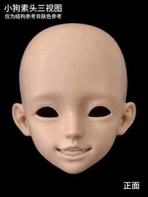Front view of a Muhan × MDollSchool Puppy MSD 1/4 BJD doll blank head
