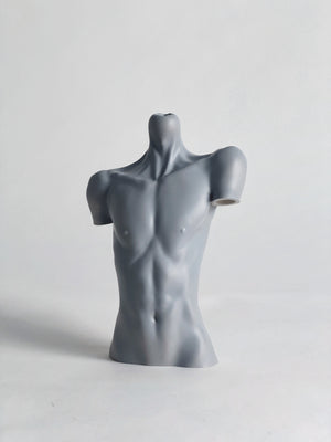 Grey MDollSchool 1/4 BJD doll bust, male torso sculpture for MSD size dolls.