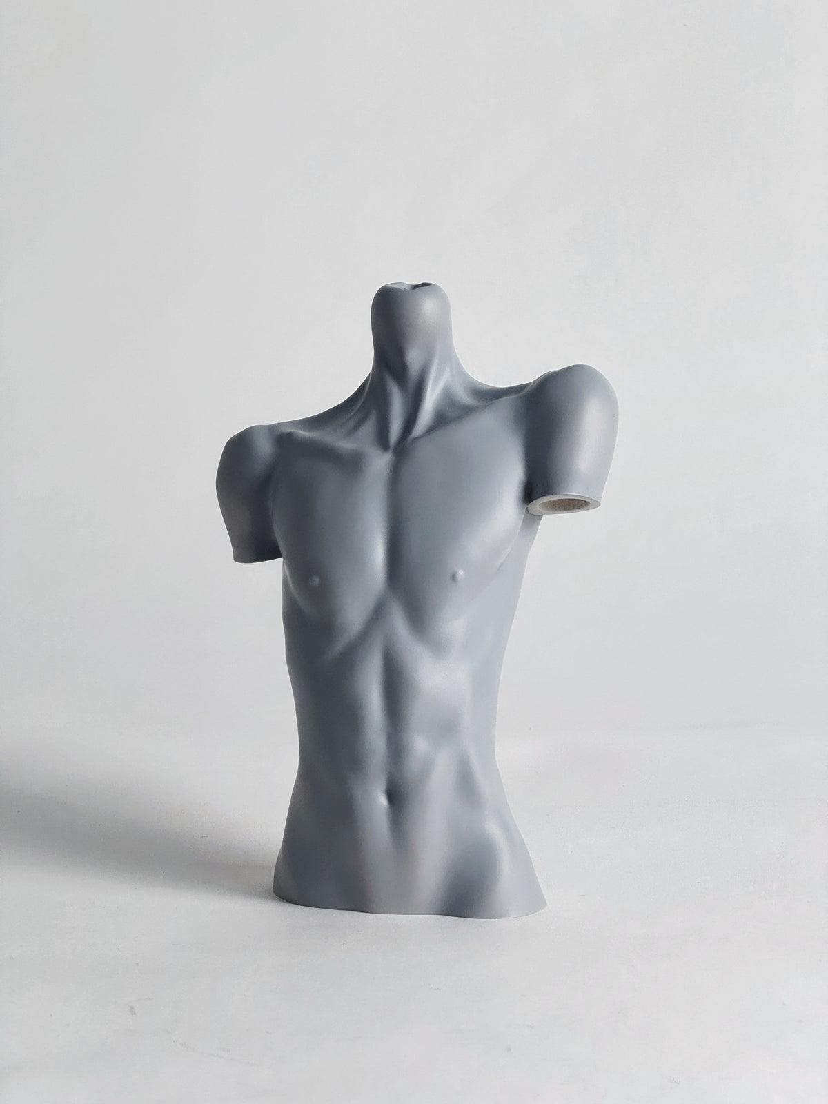 Grey MDollSchool 1/4 BJD doll bust, male torso sculpture for MSD size dolls.