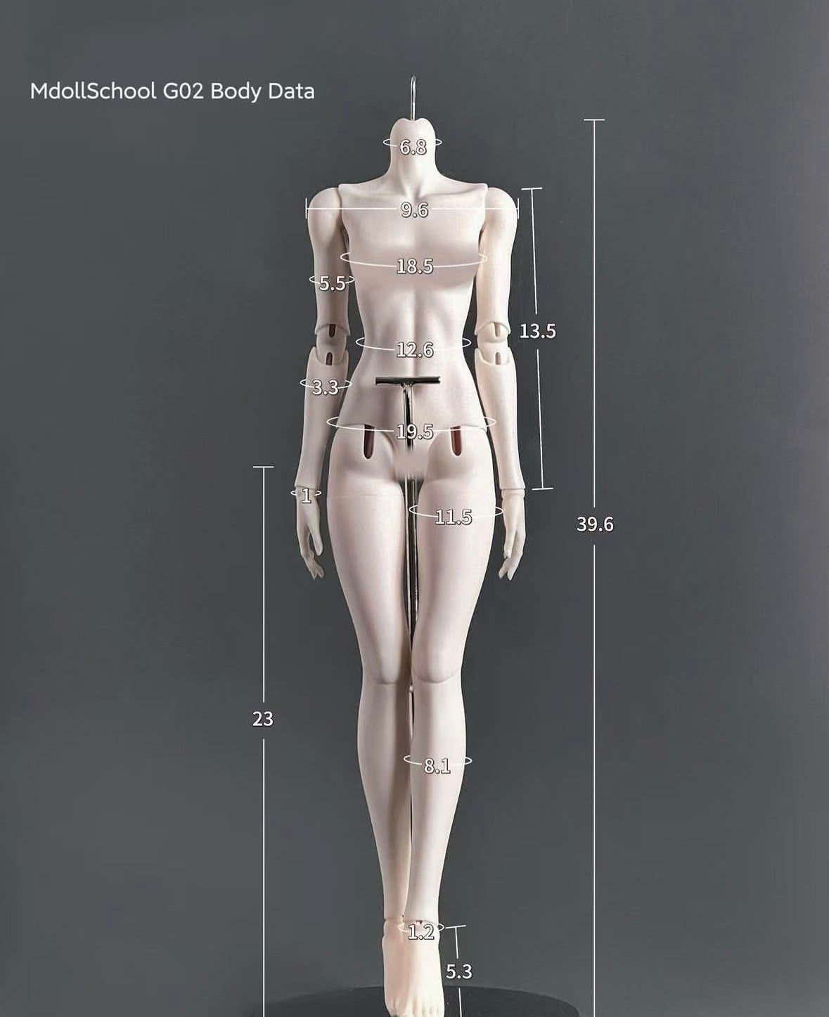 MDollSchool G02 Female Body MSD 1/4 BJD with detailed measurement data guides