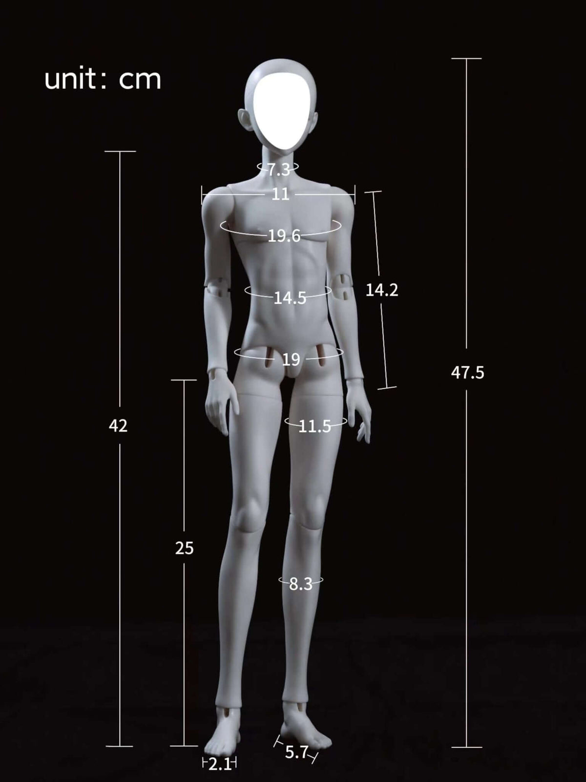 Dimension chart for MDollSchool Alpha BJD 1/4 MSD doll body and head set.