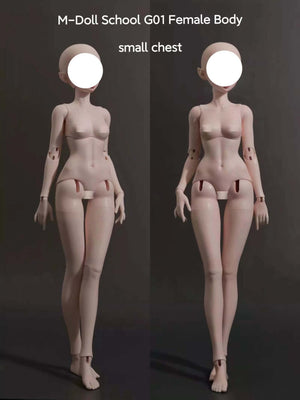 MDollSchool G01 female BJD doll body in 1/4 scale with small chest option.