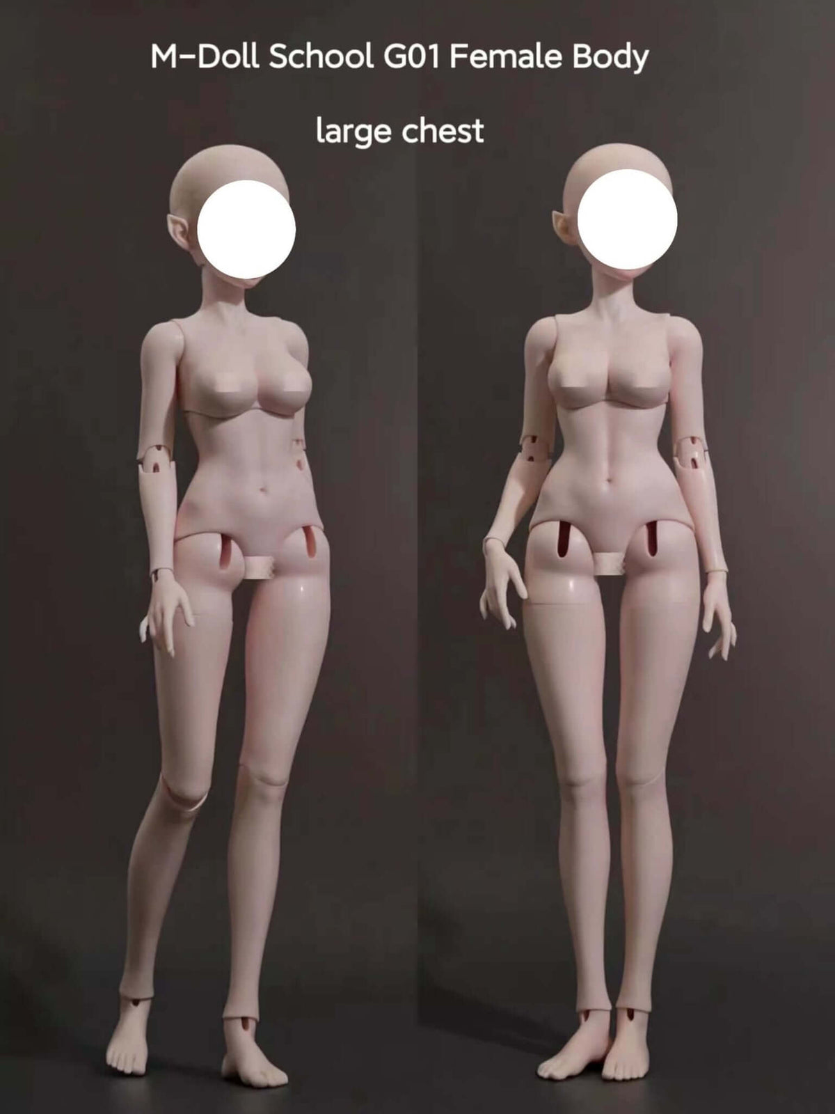 MDollSchool G01 female BJD doll body with large chest in two poses