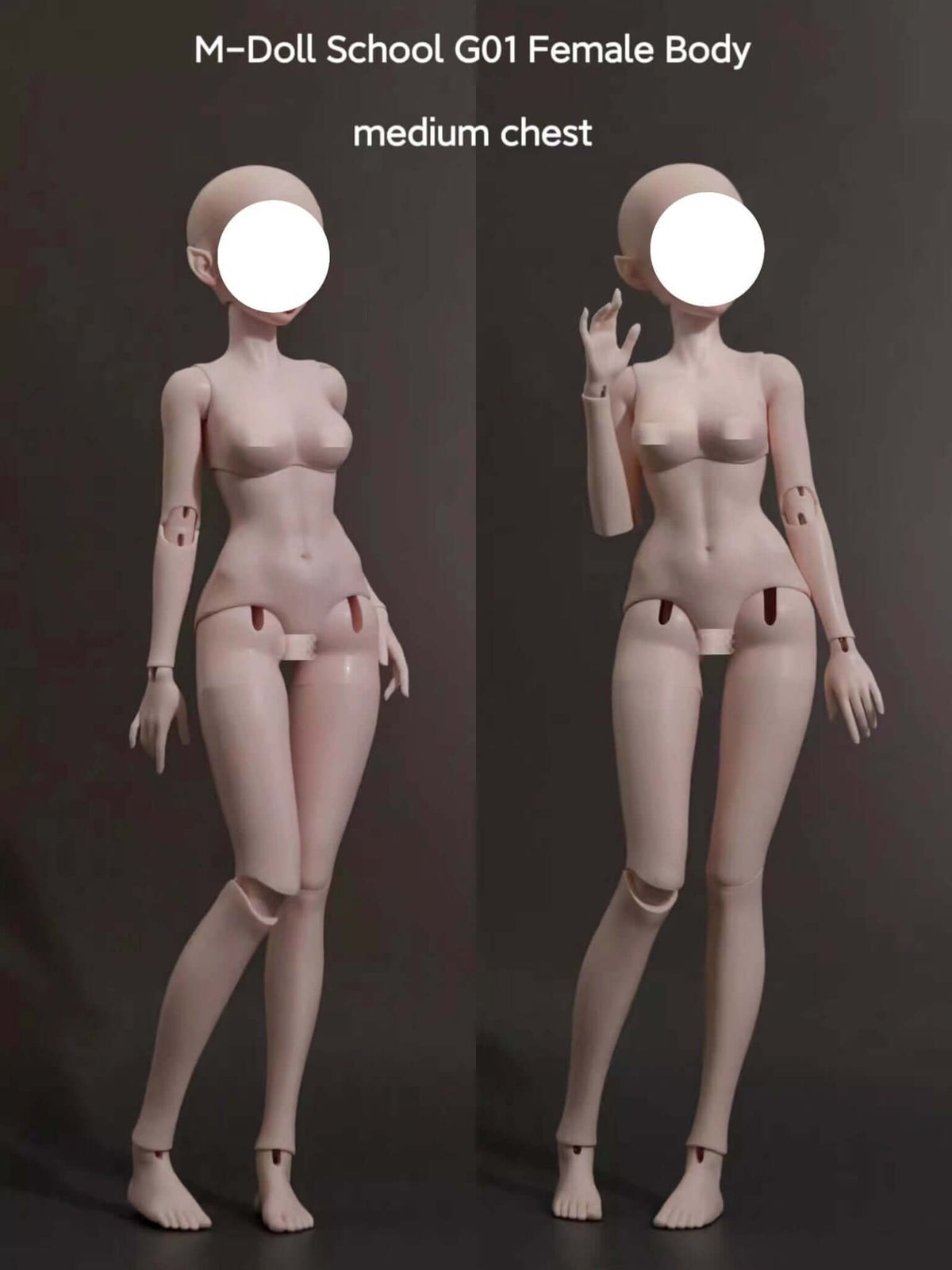 MDollSchool G01 female BJD doll body in 1/4 scale with medium chest, two views.